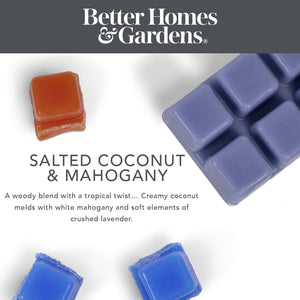 Salted Coconut & Mahogany - Ilmvax