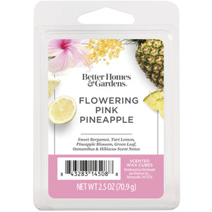 Flowering Pink Pineapple - Ilmvax