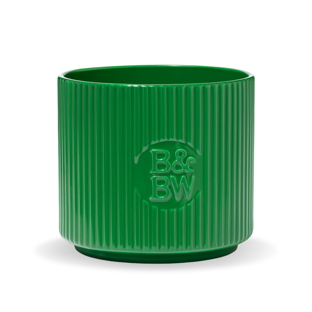 FRESH BALSAM - Ilmkerti (stórt)